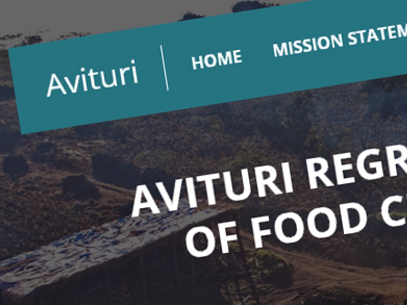 Avituri