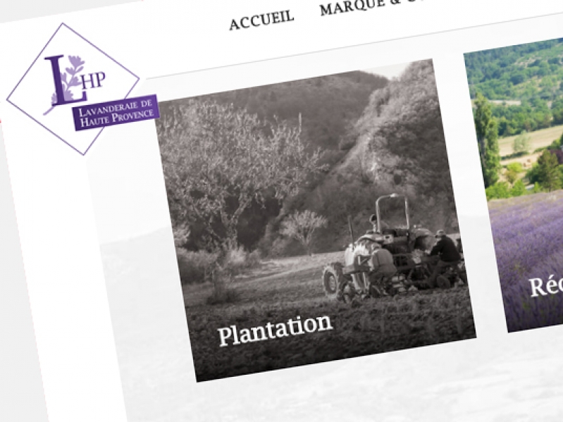Lavanderaie de Haute Provence